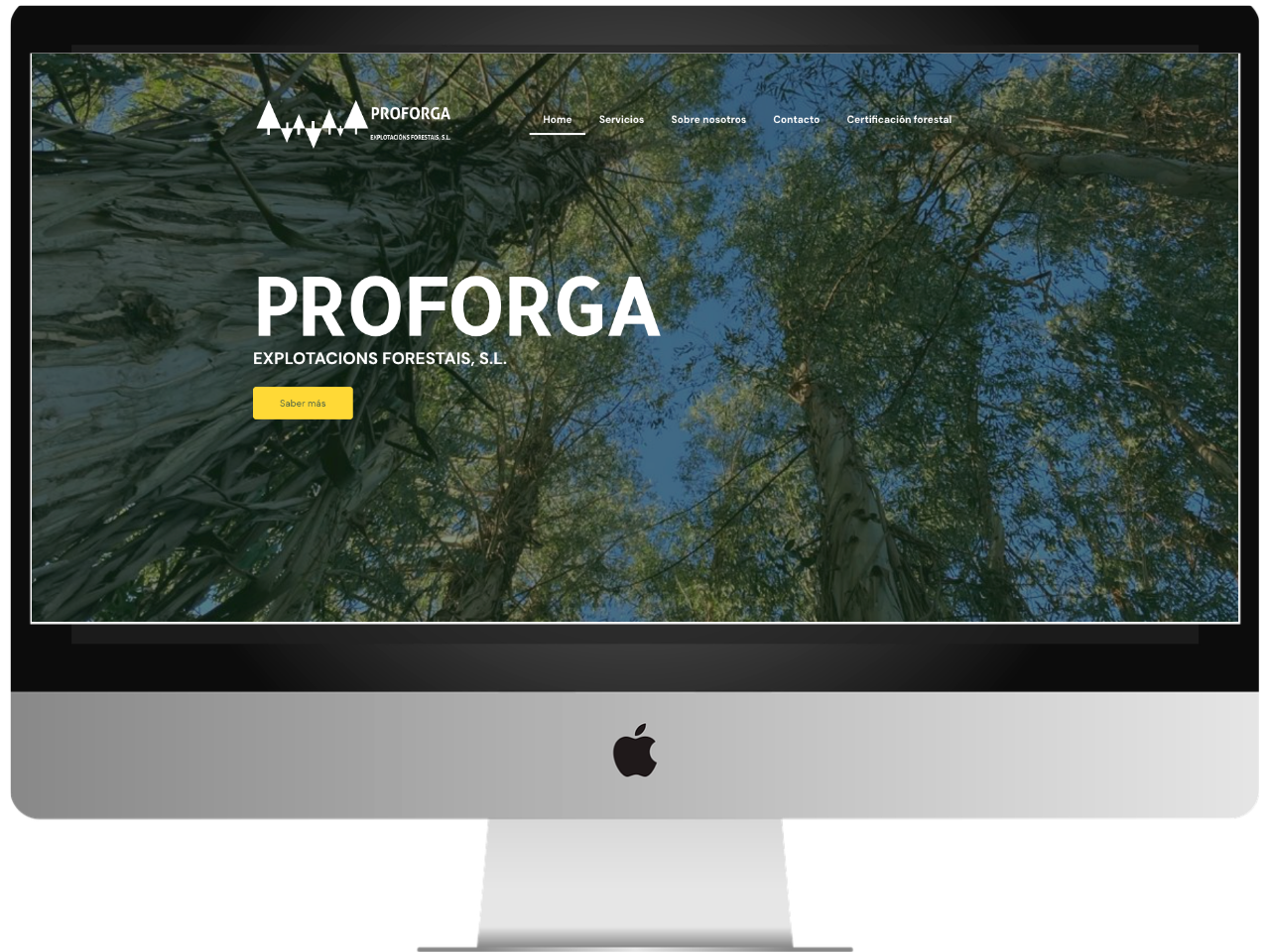 Web de Proforga diseñada por Pablo López